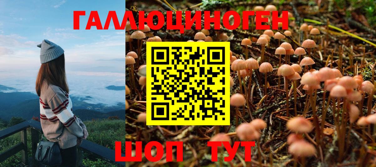 Галлюциногенные грибы Magic Shrooms Кашира